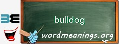 WordMeaning blackboard for bulldog